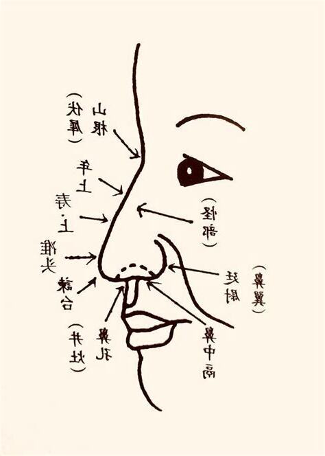 富鼻 面相